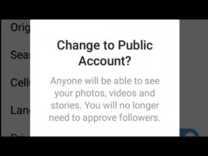 Instagram public account features