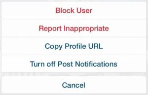 report an Instagram account