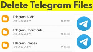 delete Telegram media