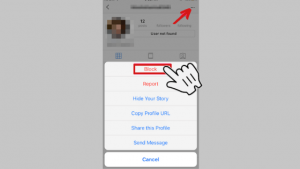 block an Instagram user