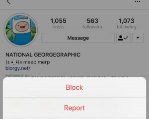 report an Instagram user