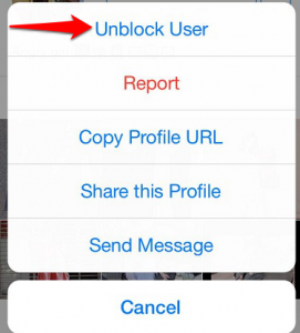 unblock an Instagram user