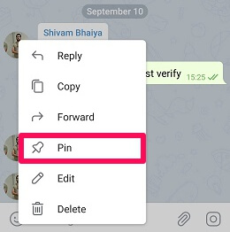 Telegram groups pinned messages