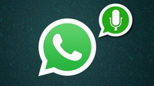 Send A Voice Message On WhatsApp