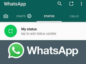 Make A Story On WhatsApp