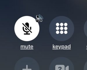 mute a WhatsApp call