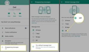 Whatsapp Disappearing Messages Feature