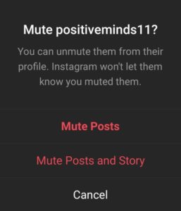 Mute An Instagram User