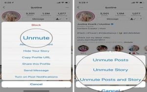 Unmute An Instagram User
