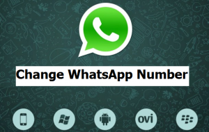 Change Whatsapp To New Number
