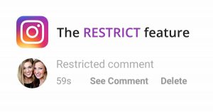 View A Restricted User's Comment On Instagram