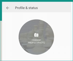 Change Whatsapp Profile Photo