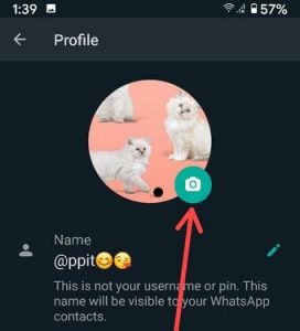 Change Whatsapp Profile Photo