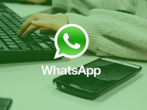 Delete WhatsApp media through search 