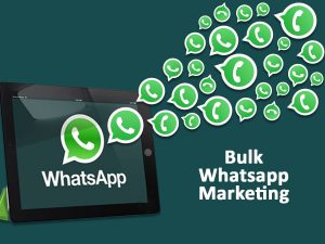 Whatsapp Bulk Messages