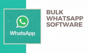 Whatsapp Bulk Messages