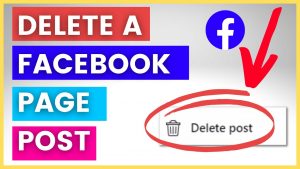 Delete a Facebook Post 