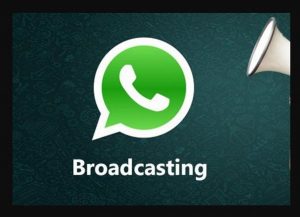 WhatsApp Broadcast 