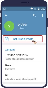 Set a Profile Picture for Telegram channel 