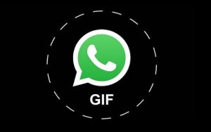 Make Gifs From Videos on WhatsApp 