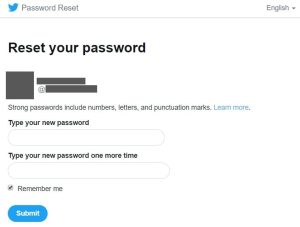 Reset Twitter Password 