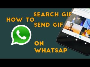 Search Gifs on WhatsApp 
