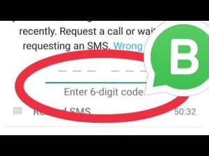 WhatsApp Business Code 