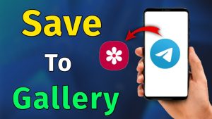 Save a Telegram Story on Gallery 